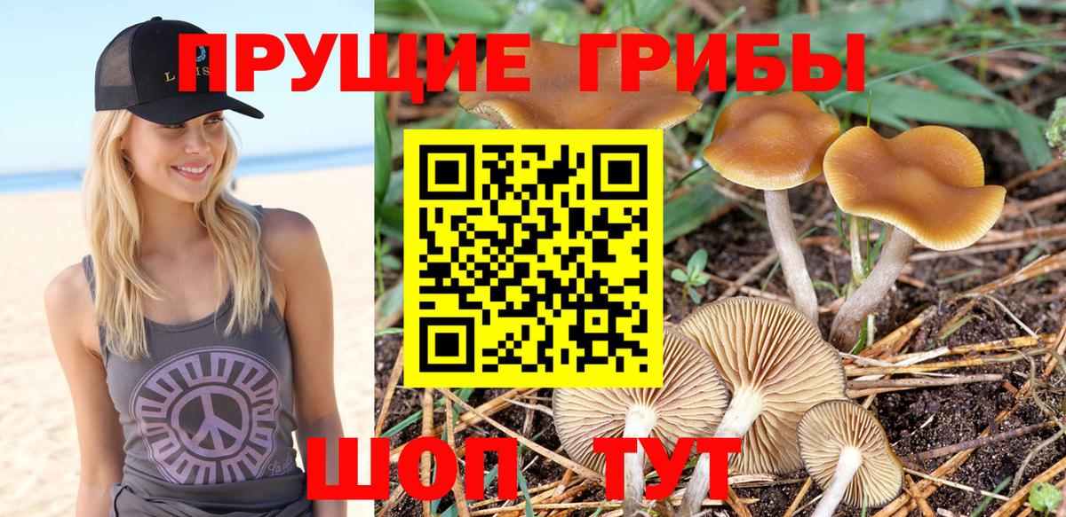 Псилоцибиновые грибы прущие грибы Советская Гавань