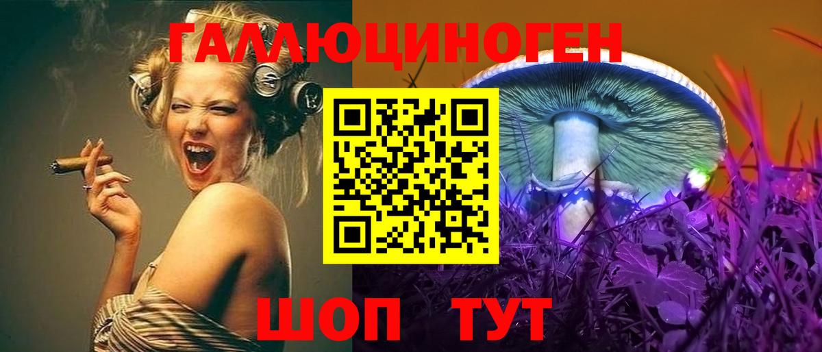Псилоцибиновые грибы Psilocybe  Вход с VPN  магазин продажи наркотиков  Советская Гавань 